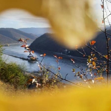 Ferienhaus Am Rheinsteig Kaub Bagian luar foto