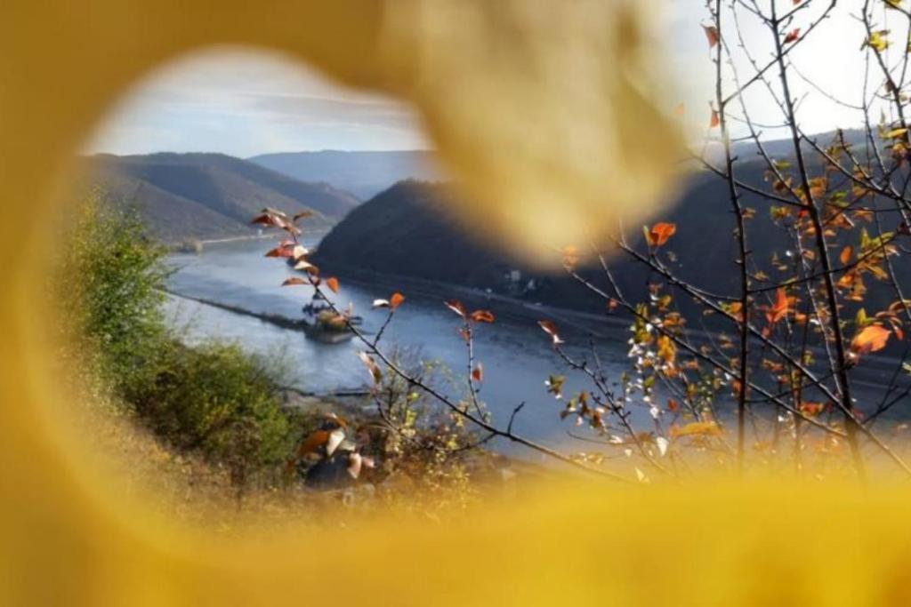 Ferienhaus Am Rheinsteig Kaub Bagian luar foto